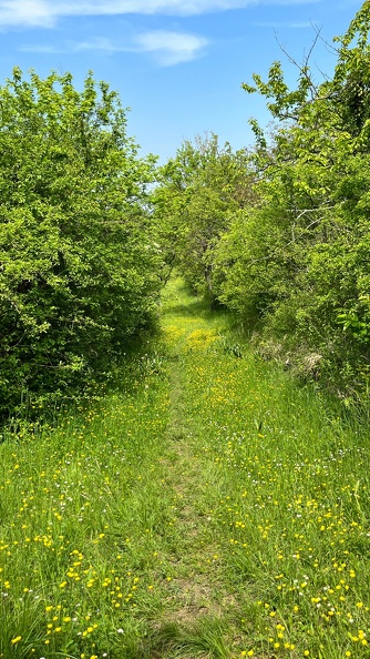 22-05-08 11-38-42 0770.jpeg